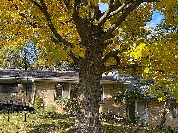 Fall front view