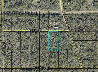 Tract 159 ERIN ST, HASTINGS, FL 32145
