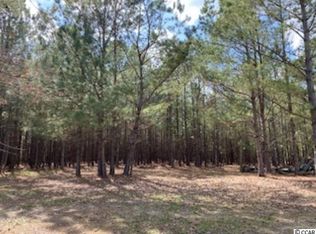 Highway 19 #110 ACRES, Loris, SC 29569