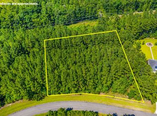 1133 Plantation Overlook Dr, Moncks Corner, SC 29461