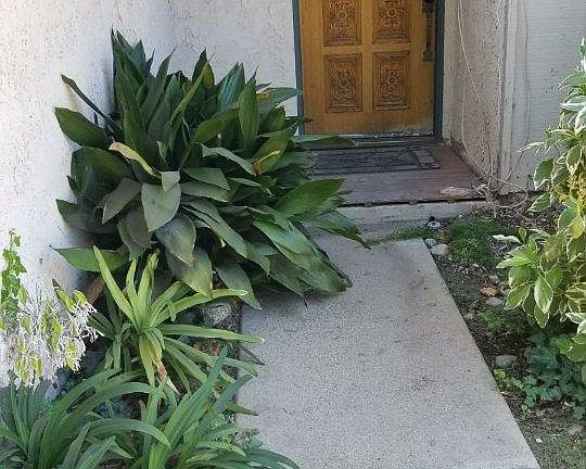 4th image of 9835 Vail Dr