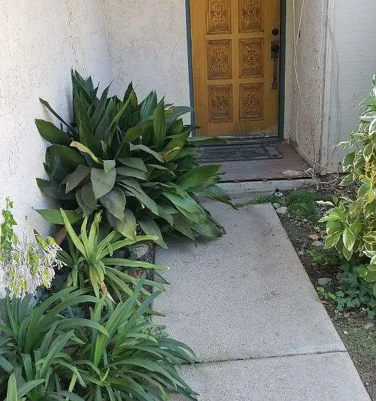 9835 Vail Dr — Photo 4