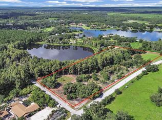 18150 Burrell Rd, Odessa, FL 33556