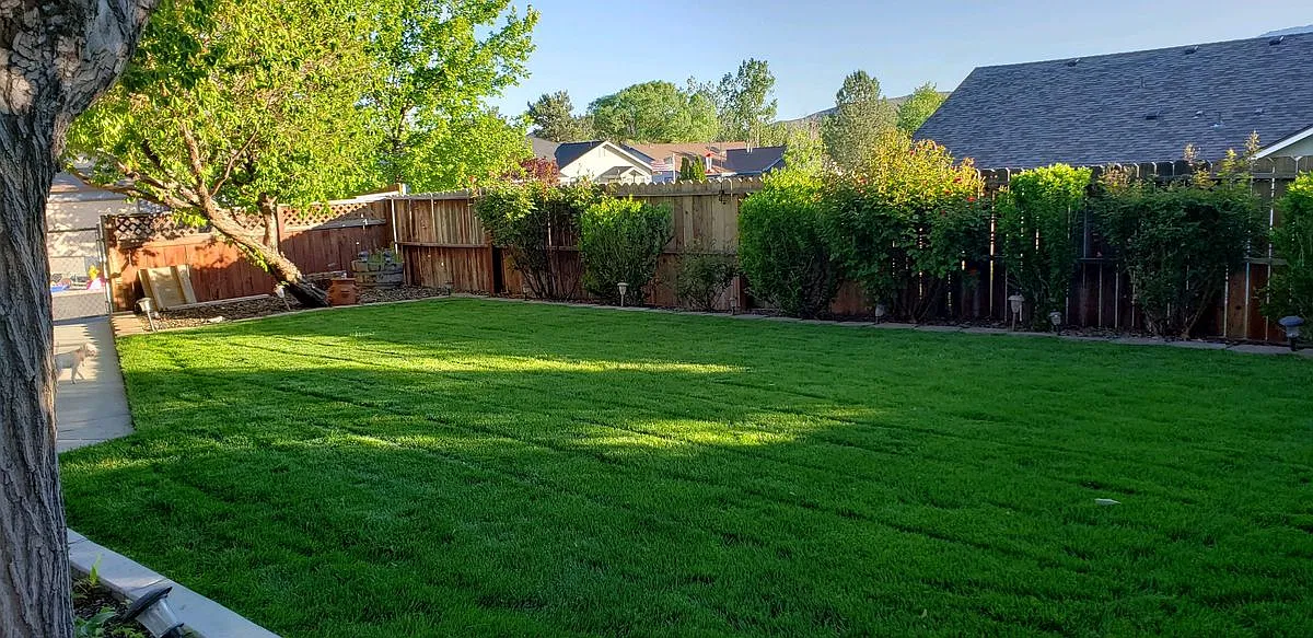 3 bed, 2.0 bath, 2088 sqft, $2,950 — Photo 3