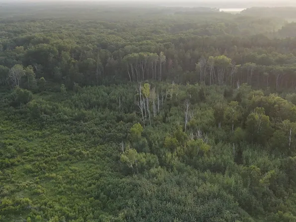 12031 State #64, Akeley, MN 56467