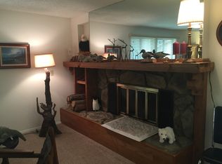 267 Baby Doe Dr, Leadville, CO 80461