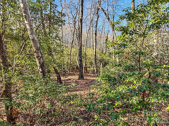 5th image of 1647 Mills River Way