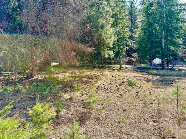 Nna Tannebaum Ln, Bonners Ferry, ID 83805