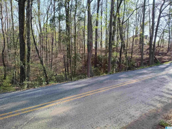 0 Settlement Rd #0, Sylacauga, AL 35150