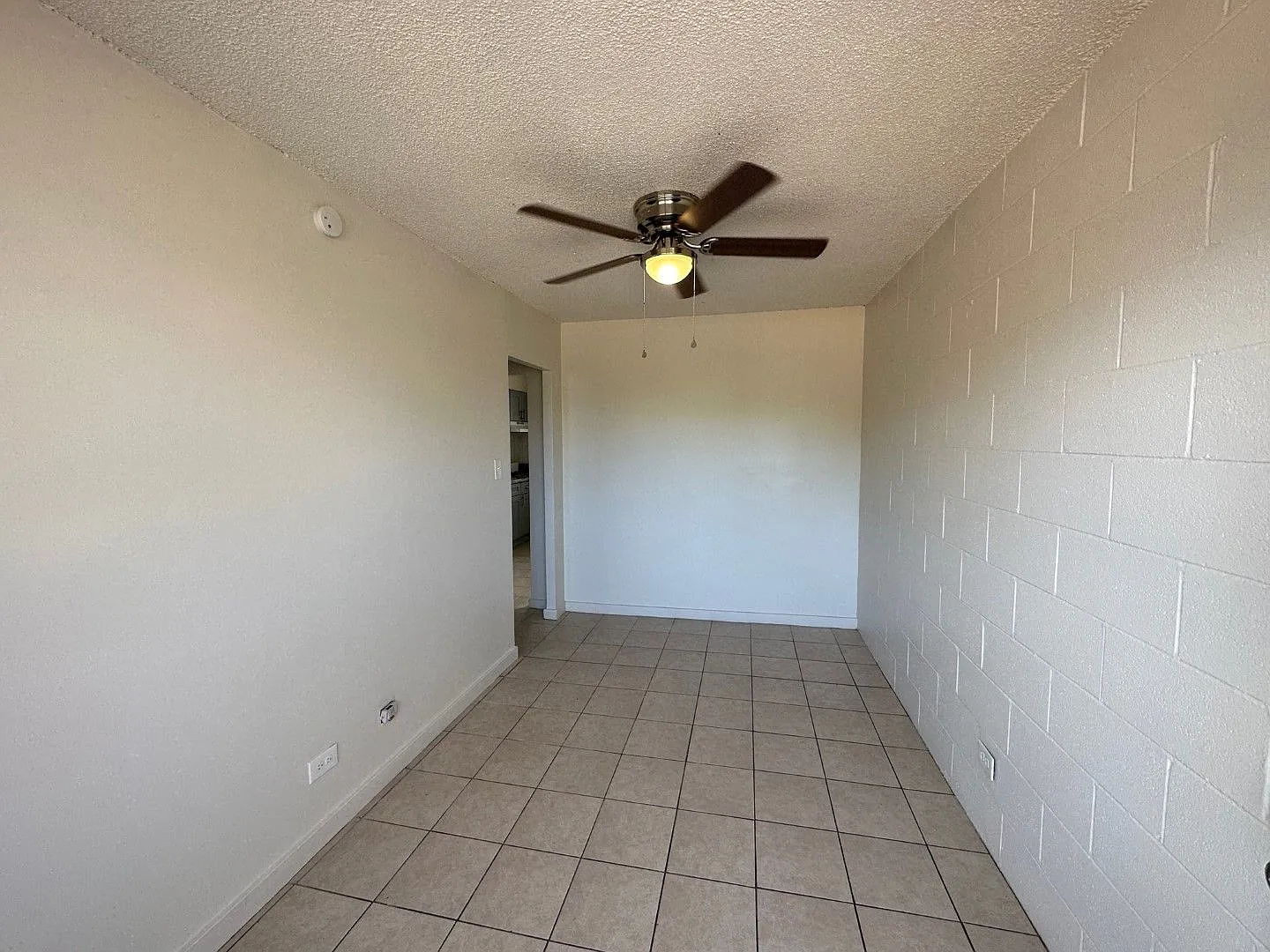 1455 Lusitana — Photo 4