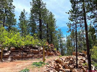 1194 Pine Tree Dr, Bayfield, CO 81122