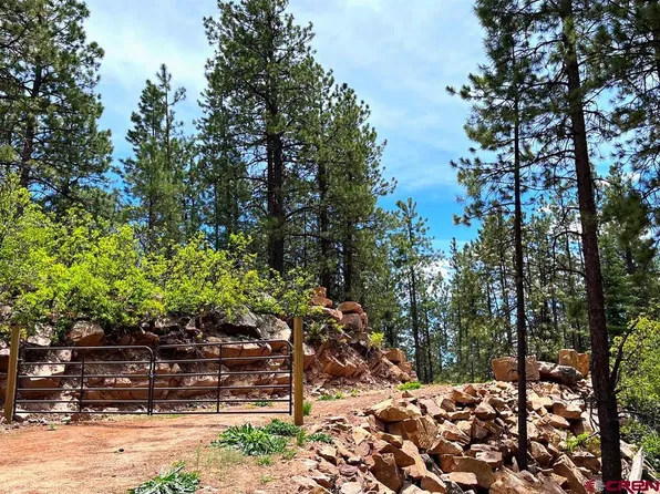 1194 Pine Tree Drive, Bayfield, CO 81122