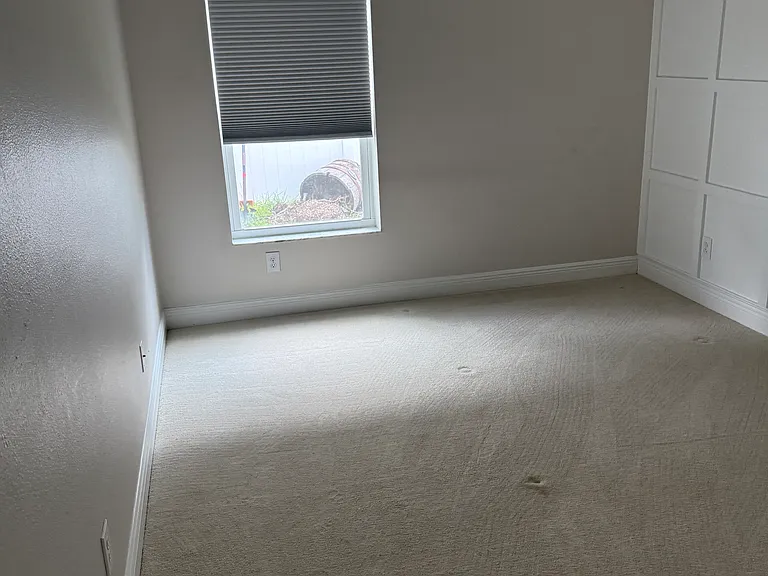 1549 Sweetspire Dr — Photo 22