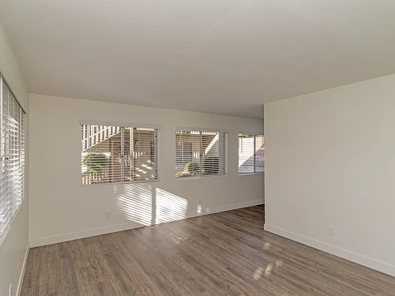 Olive Tree Manor — Photo 3