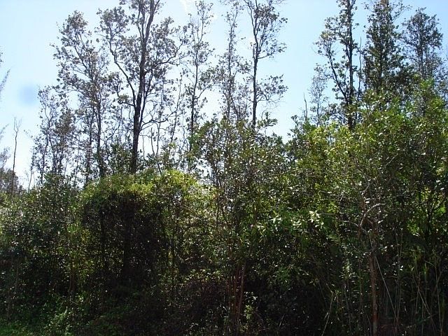 2nd image of 37th Ave Lot 27
