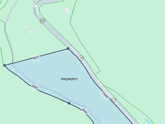 3rd image of 0 Highway 197