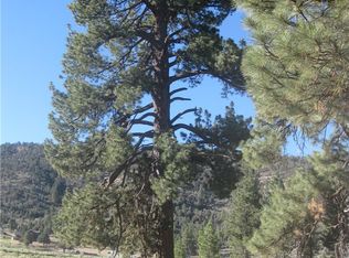 2824 Erwin Ranch Rd, Big Bear City, CA 92314