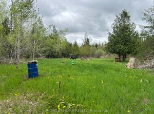0 Mount Horeb Rd, Kawartha Lakes, ON K0L2W0