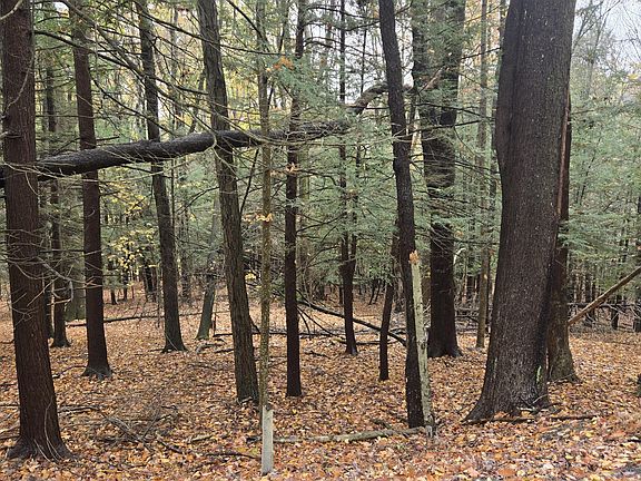 2nd image of Basse Terre Rd Lot 371