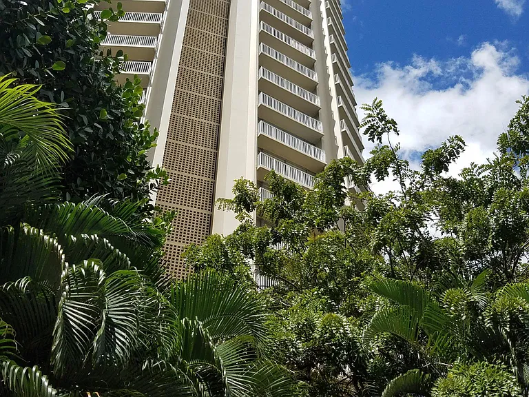 750 Amana St #211 — Photo 7