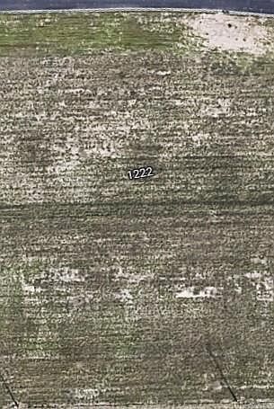 2nd image of 1222 E Chelsea Dr