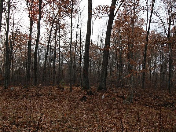 4th image of 120 Acres CTY HWY D