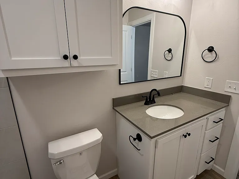 Primary Bathroom Vanity and Toilet