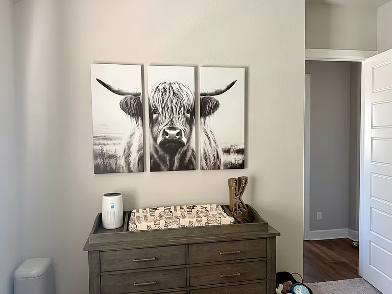 2413 Stella Ln — Photo 17