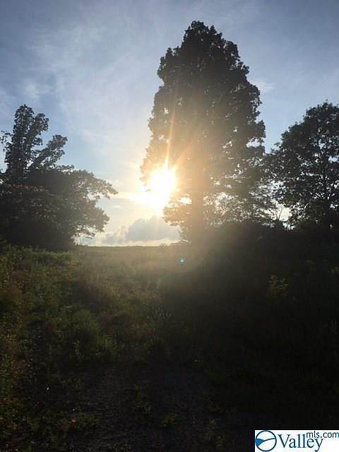 2nd image of 5491 County Road 27