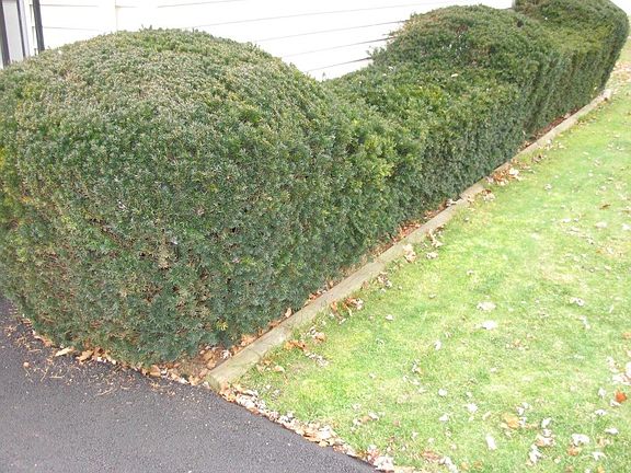 4th image of 405 E 8th St