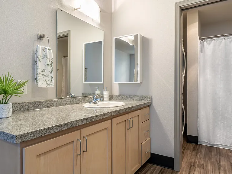Bathroom with separate vanity- 2nd and 3rd floor
