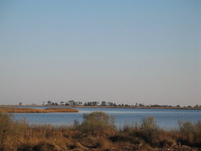 0 Piney Point Rd, Onemo, VA, 23130