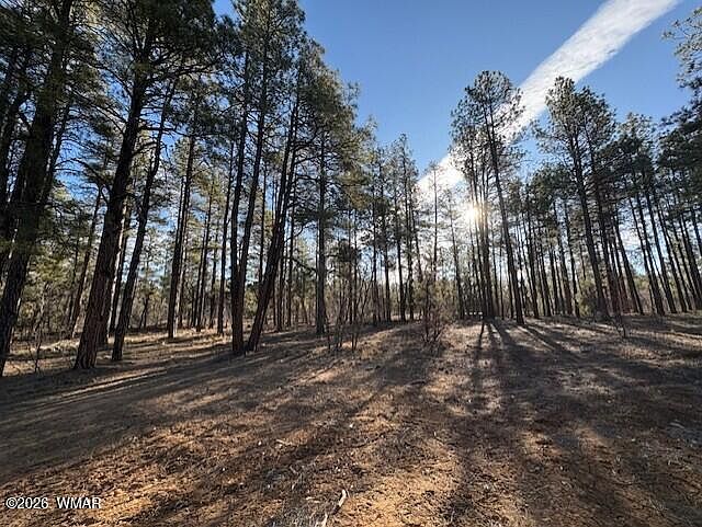 1st image of 2360 Narrow Leaf Ln Lot 15