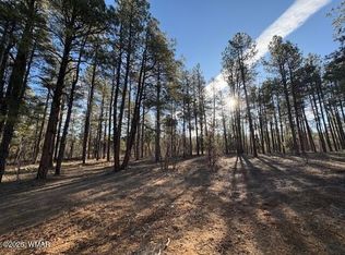 2360 Narrow Leaf Ln, Show Low, AZ 85901