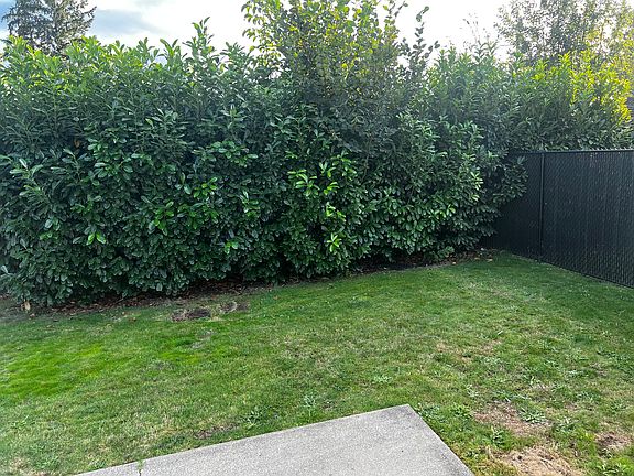 Backyard from Porch
