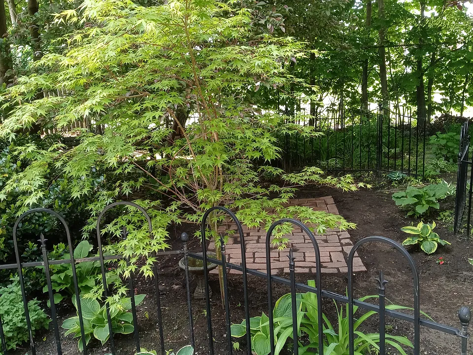 Garden view from porch