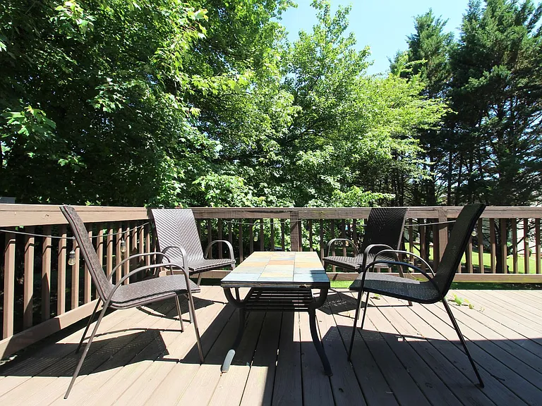 221 Alleghany Dr — Photo 32