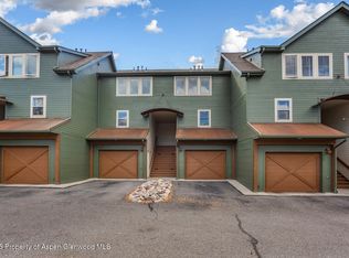 113 Lakeside Ct, Basalt, CO 81621