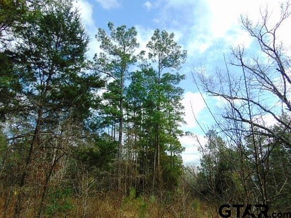 4th image of Highway 79 Tract #3