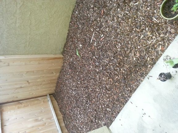 extra area off of patio