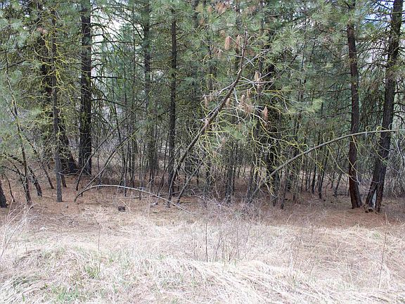 4th image of LOT 19 Creekside At Cross