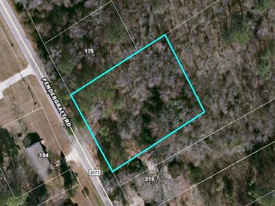 256 Pendergraft Rd, Bunnlevel, NC, 28323