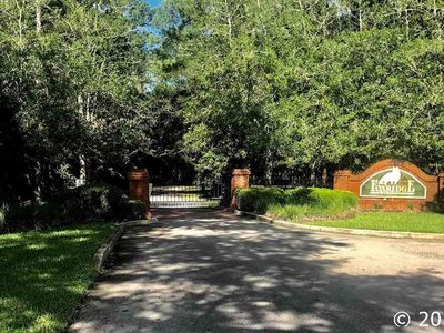14715 NW 50th Pl, Alachua, FL, 32615