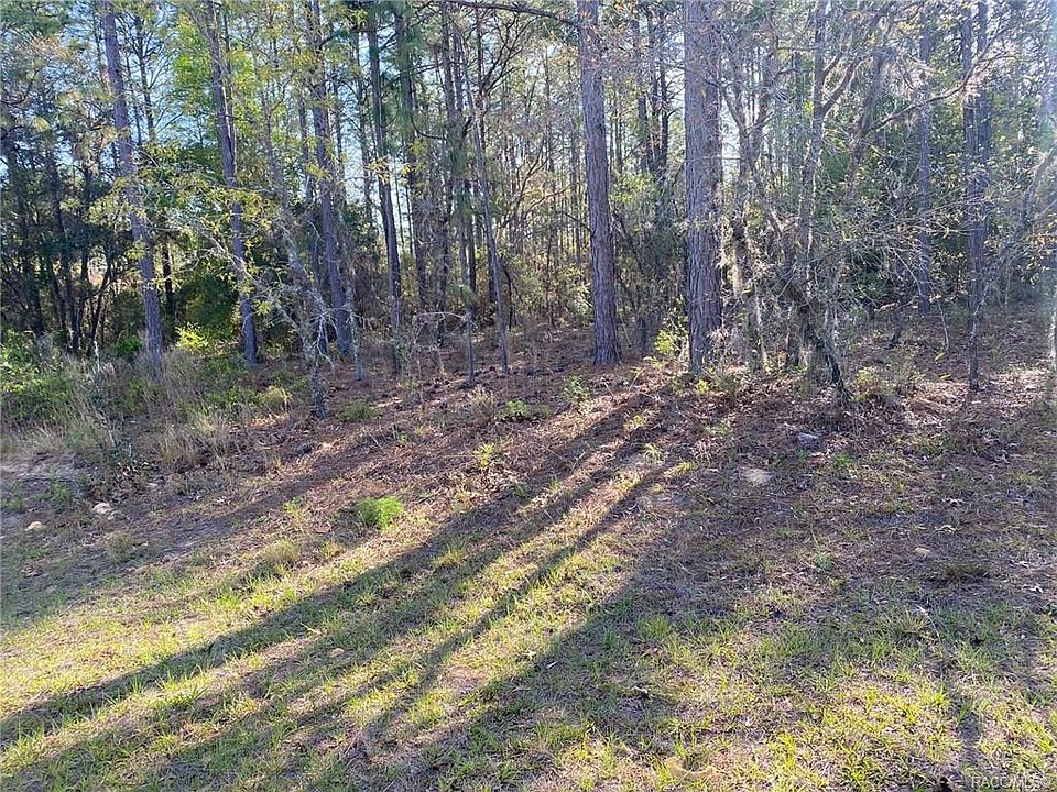 1st image of 7761 N Cricket Dr
