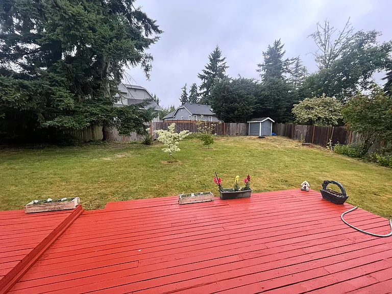 Back yard with deck, dog wood trees, lawn, shed