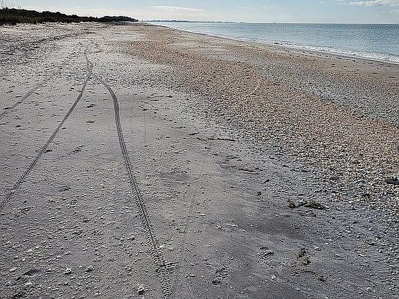 Private beaches will hold paper