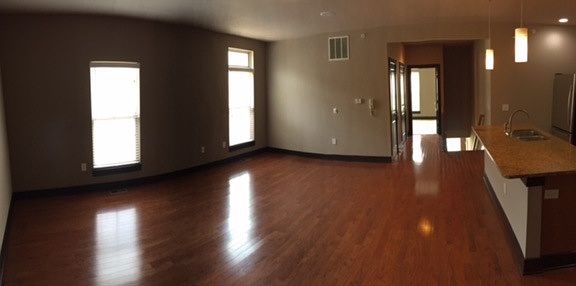 Alt View Kitchen/Living