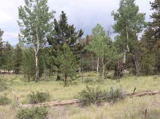 1931 Bellows Rd #1431, Hartsel, CO 80449