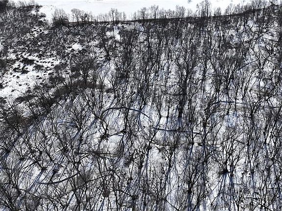 4th image of XX County Road O