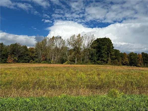 LOT 2 Sprague Rd, Memphis, NY 13112